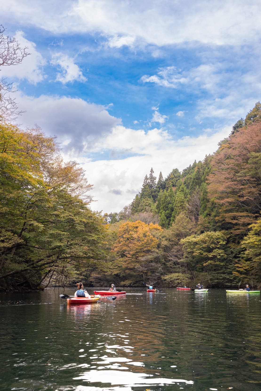 水域平穩,老少咸宜。