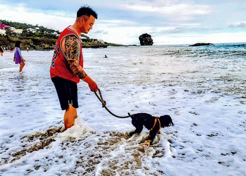 海邊遛狗照片獲得優選也被懷疑與主題不符。(翻攝自屏東縣恆春鎮公所)
