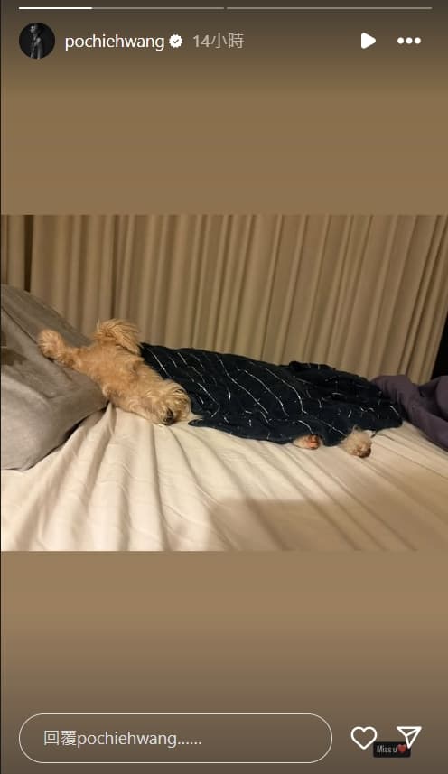 王柏傑貼出與謝欣穎共養的毛孩子Cooper照片,還寫「Miss u」,看來似有狀況發生。(翻攝王柏傑IG)