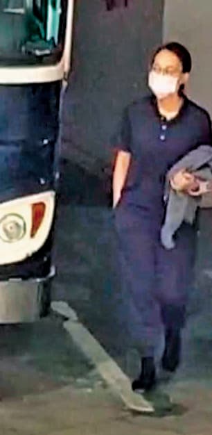 杜秉澄的妻子劉向婕是徐巧芯大姑,涉當車手替詐團洗錢,遭延長羈押至7月。(鏡新聞提供)