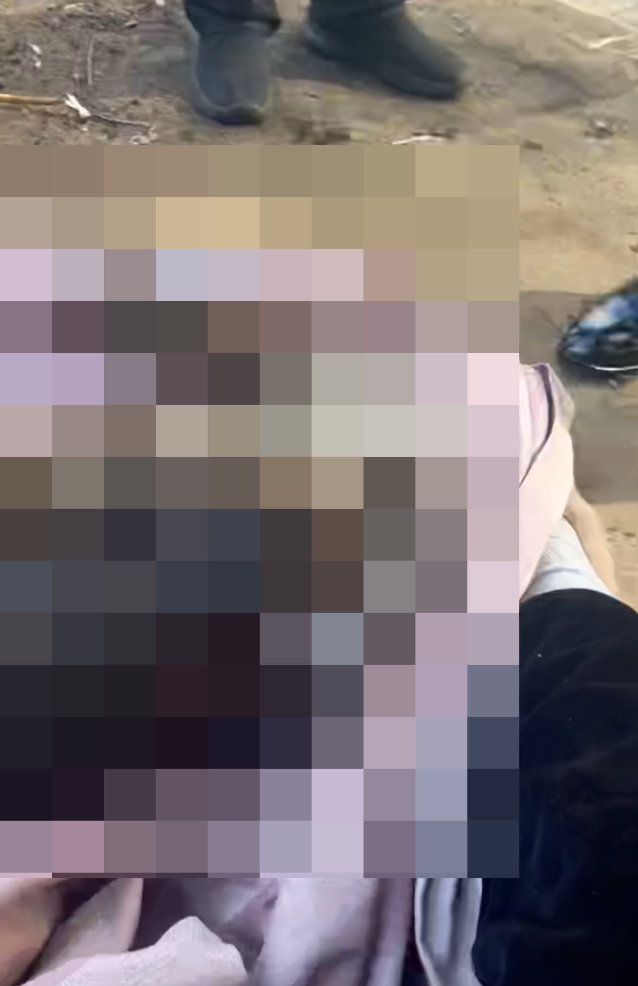 薩摩耶被活活燒死。(翻攝飼主微博)