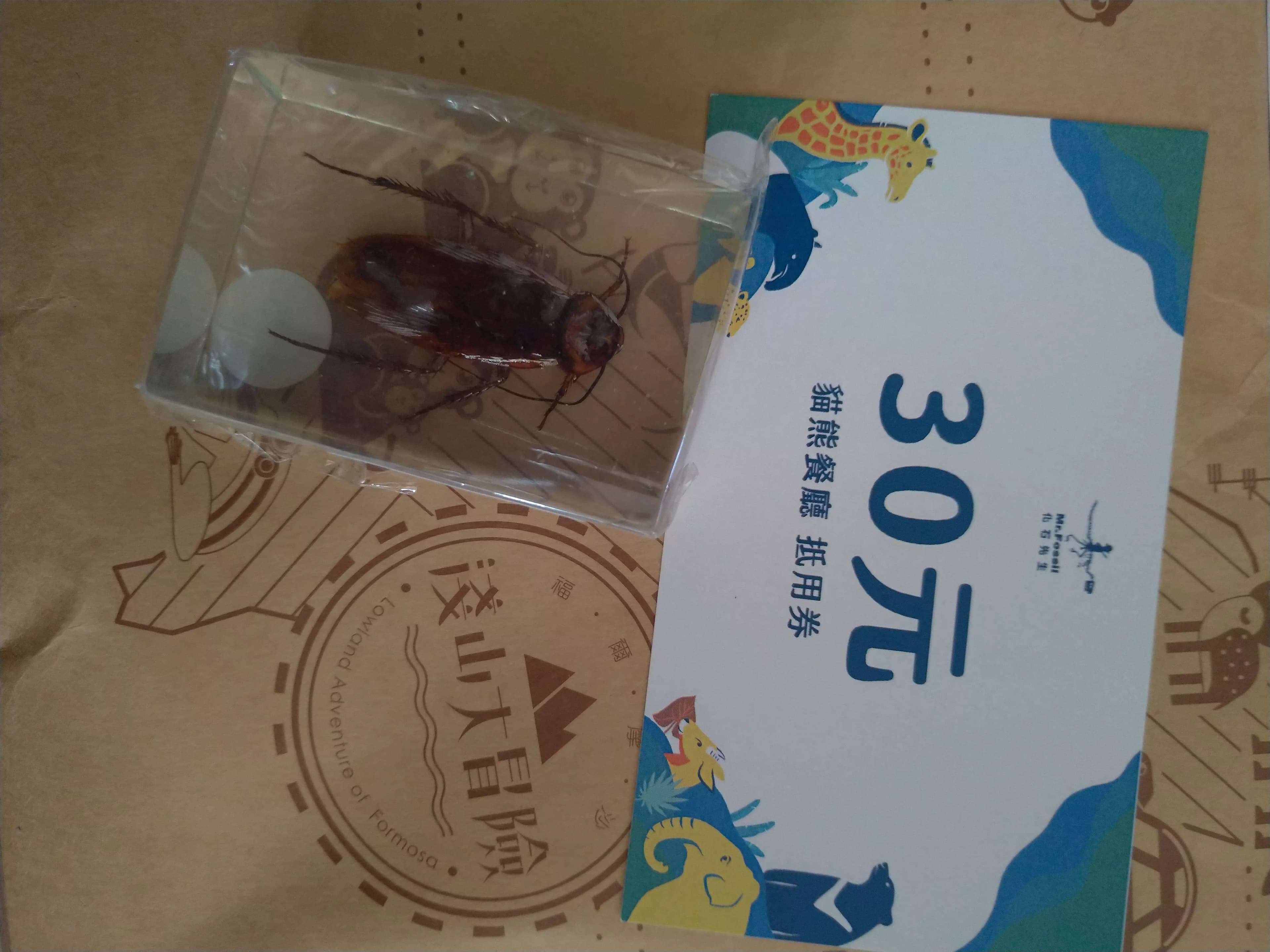 網友春節期間走訪北市動物園,拿到園方推出的刮刮樂並刮中「斑馬獎」,結果禮物拆開是隻小強標本和抵用券…(翻攝自threads@ginatachang)