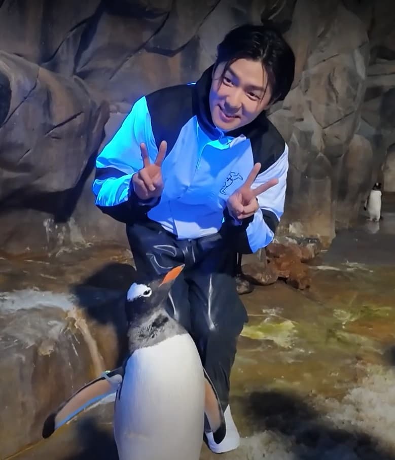 姜敏赫餵飼企鵝超緊張。（香港海洋公園提供）