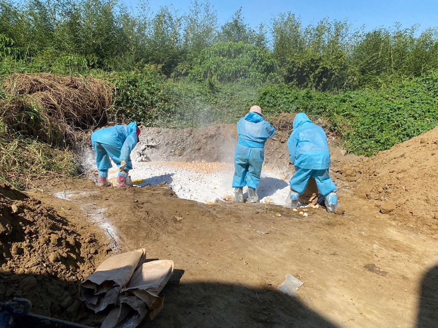 雲林縣斗六市一家白肉種雞場主動通報禽流感病例,防疫所啟動程序撲殺2萬多隻種雞、銷毀近5萬顆雞蛋。(雲林縣政府提供)