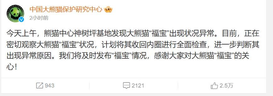 大貓熊「福寶」身體疑出狀況,官方緊急回應。(翻攝中國大貓熊保育研究中心微博)