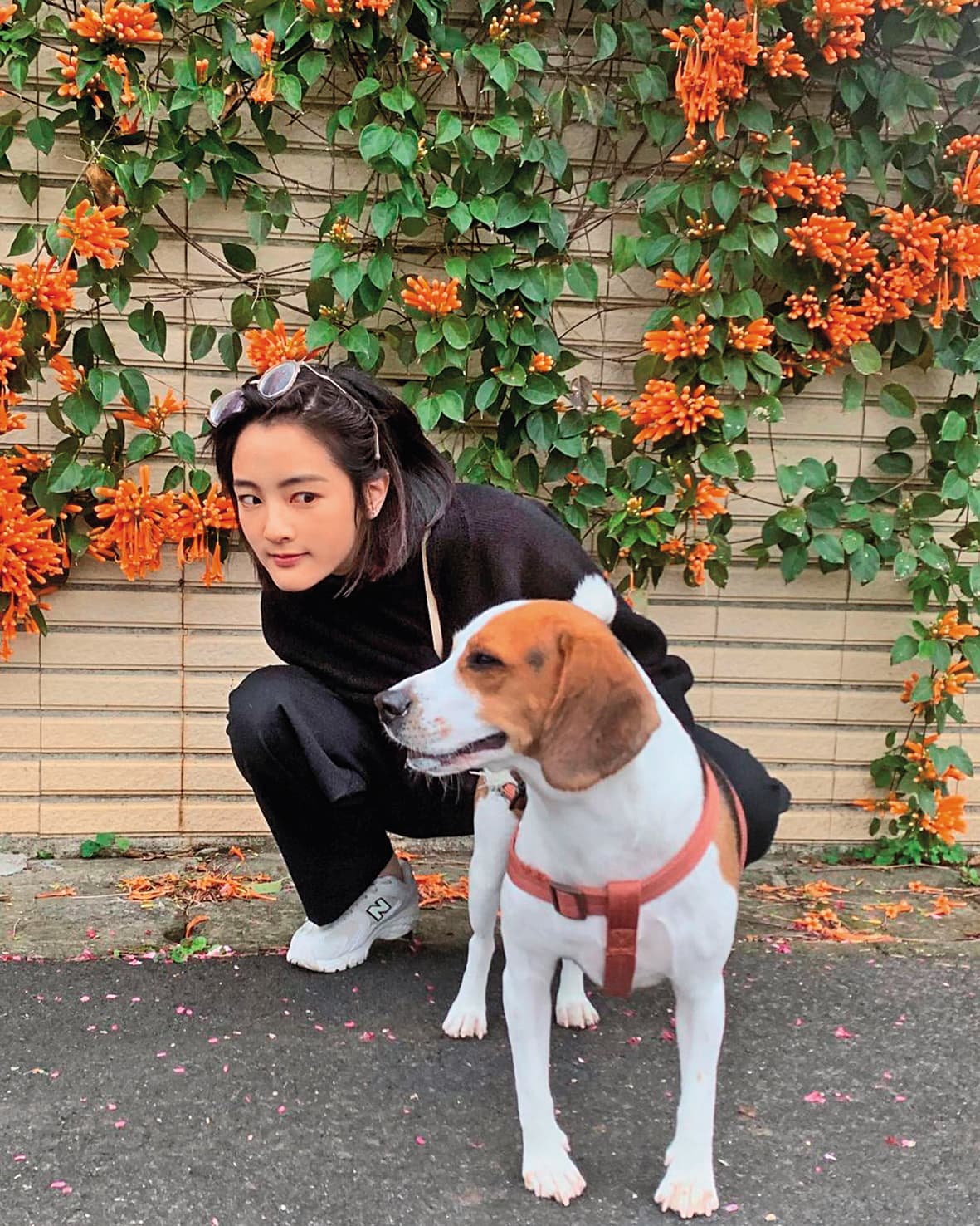 王淨常在社群網站露出可愛逗趣一面,也期許另一半「要是情人也是朋友」,兩人一狗過著幸福日常。