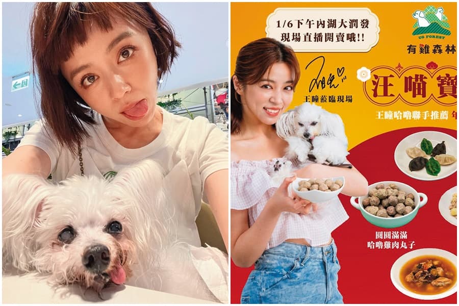 艾成的艾叻沙品牌推毛孩年菜,王瞳帶愛犬哈嚕代言。(翻攝自王瞳IG)