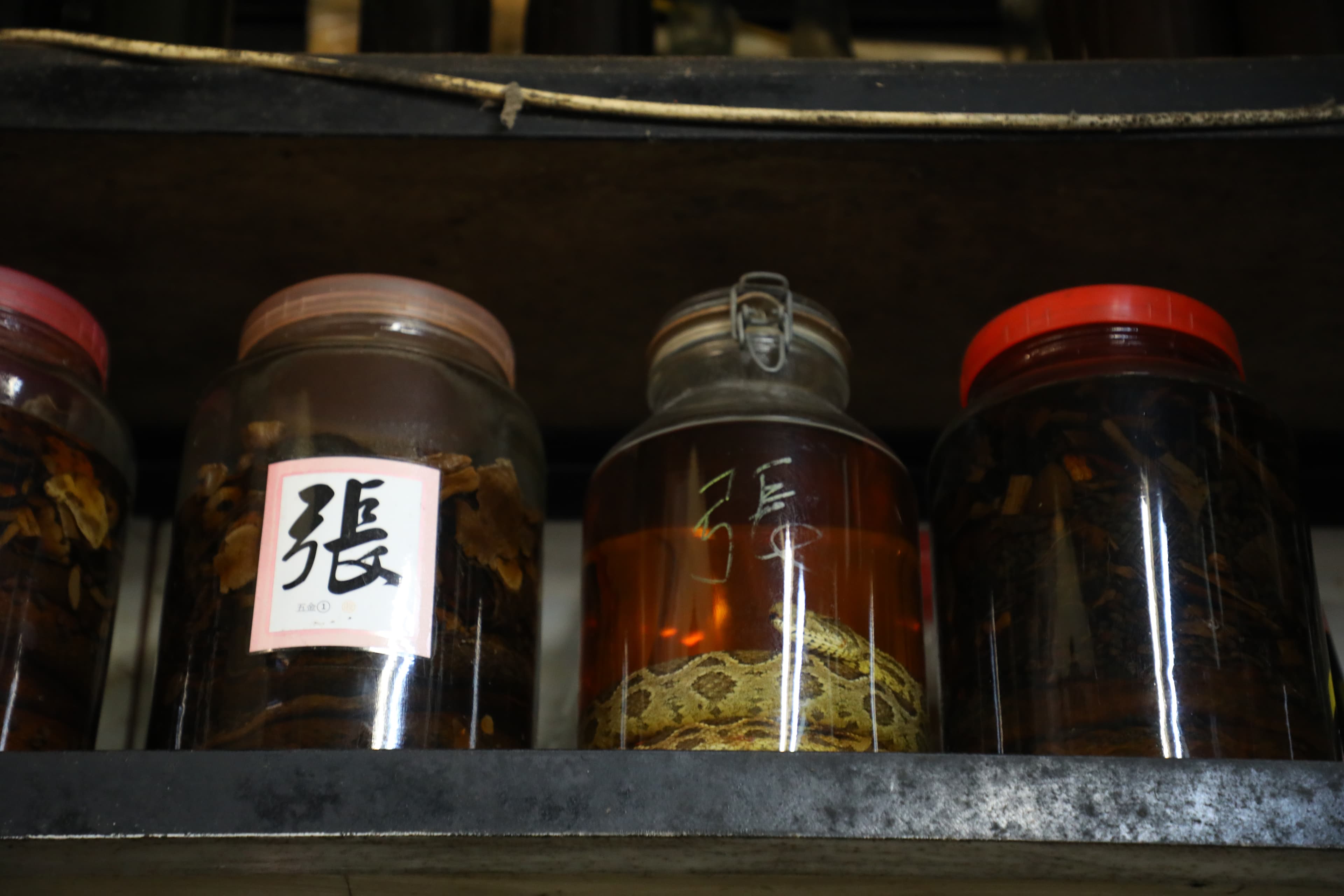 蛇王良還可以代客精燉各款保健湯品,但需要事先預訂。