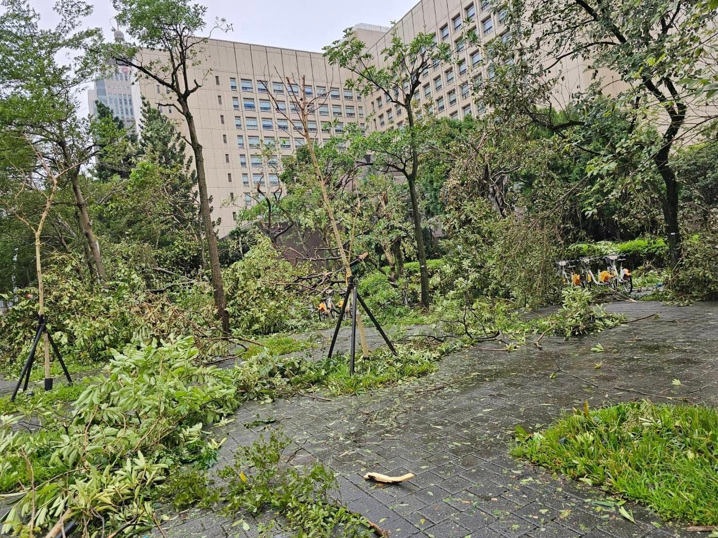 台北市今日街頭滿目瘡痍。(翻攝台北市議員游淑慧臉書)