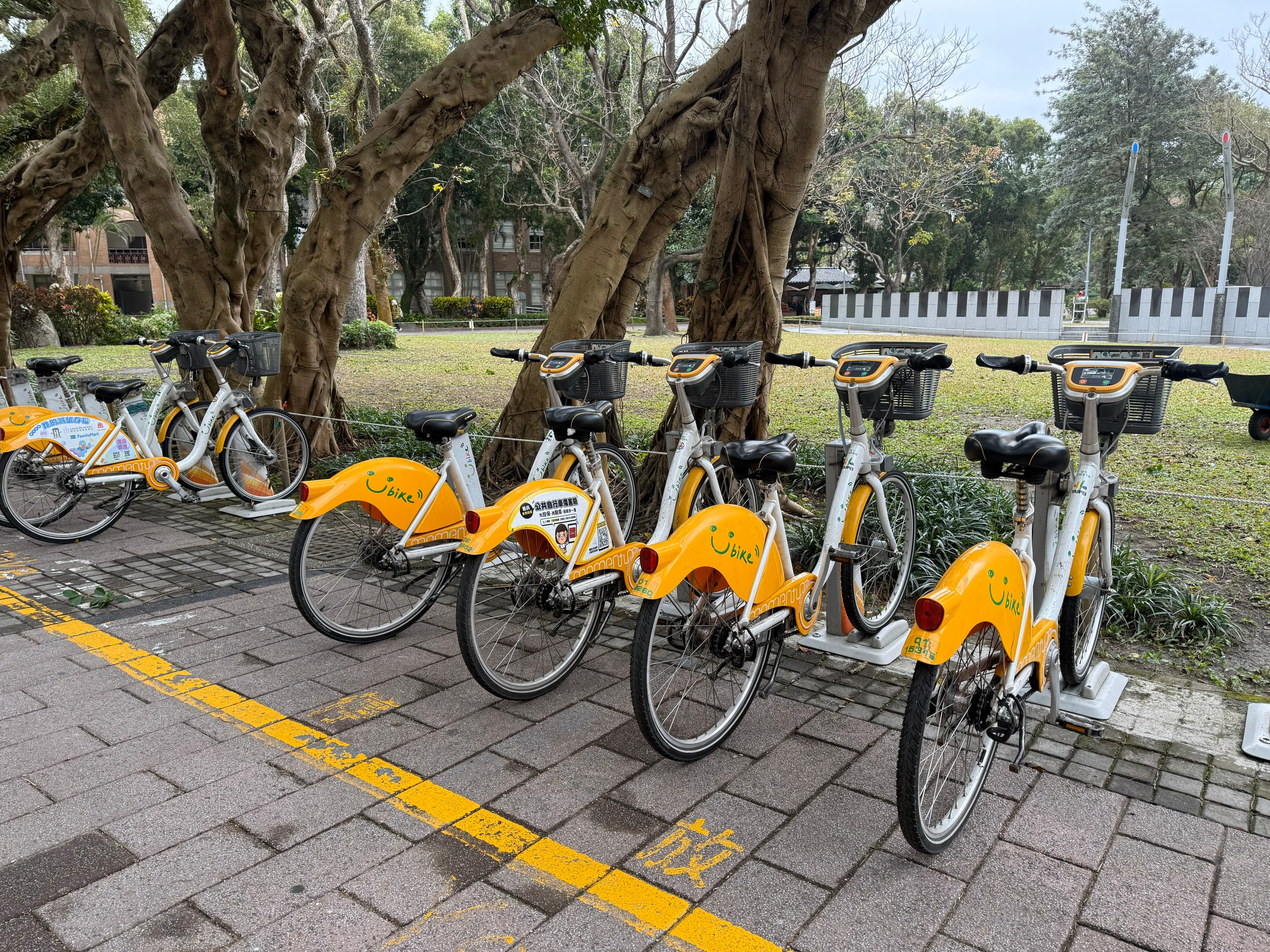 台大校園裡設置59個UBike租借站,台大生從捷運出口騎車進校園還車。(民眾提供)