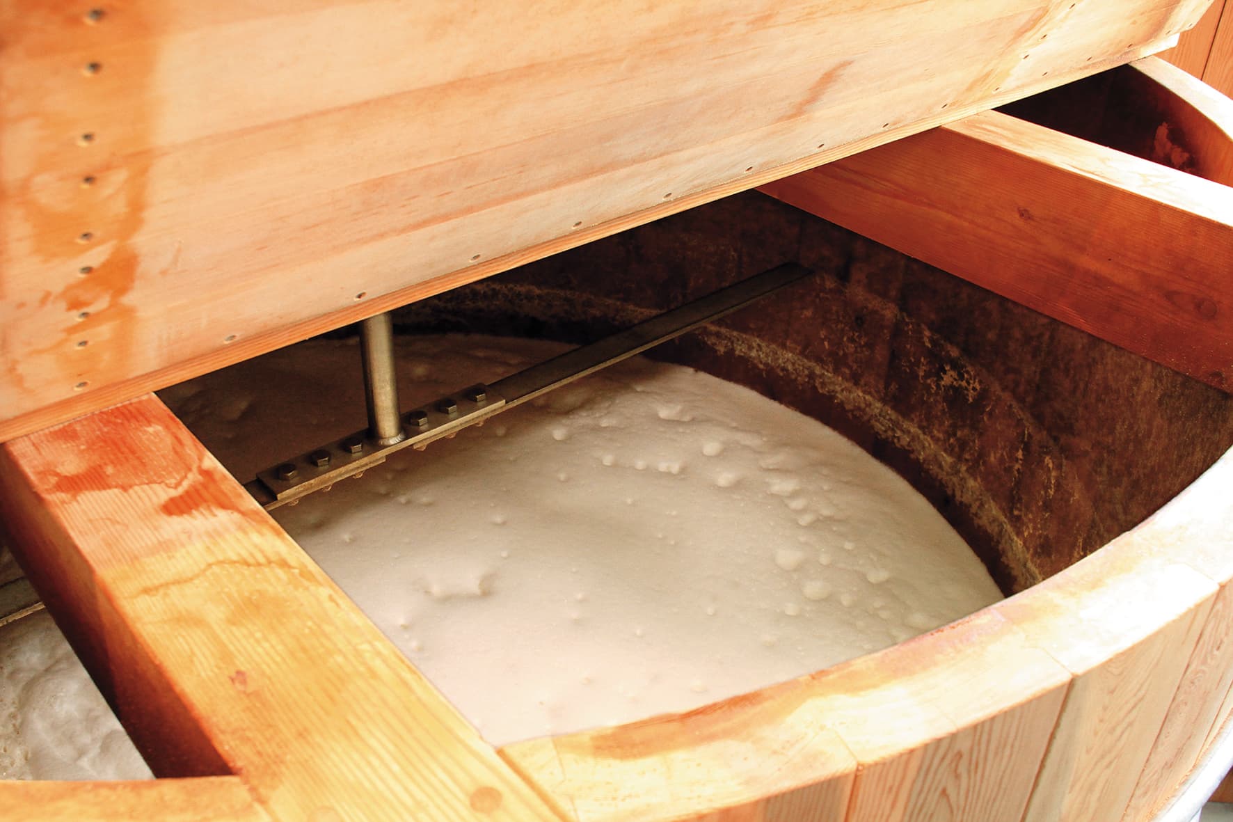 從濃密純白的泡沫可知,發酵效果相當優異。(小諸蒸餾所提供)