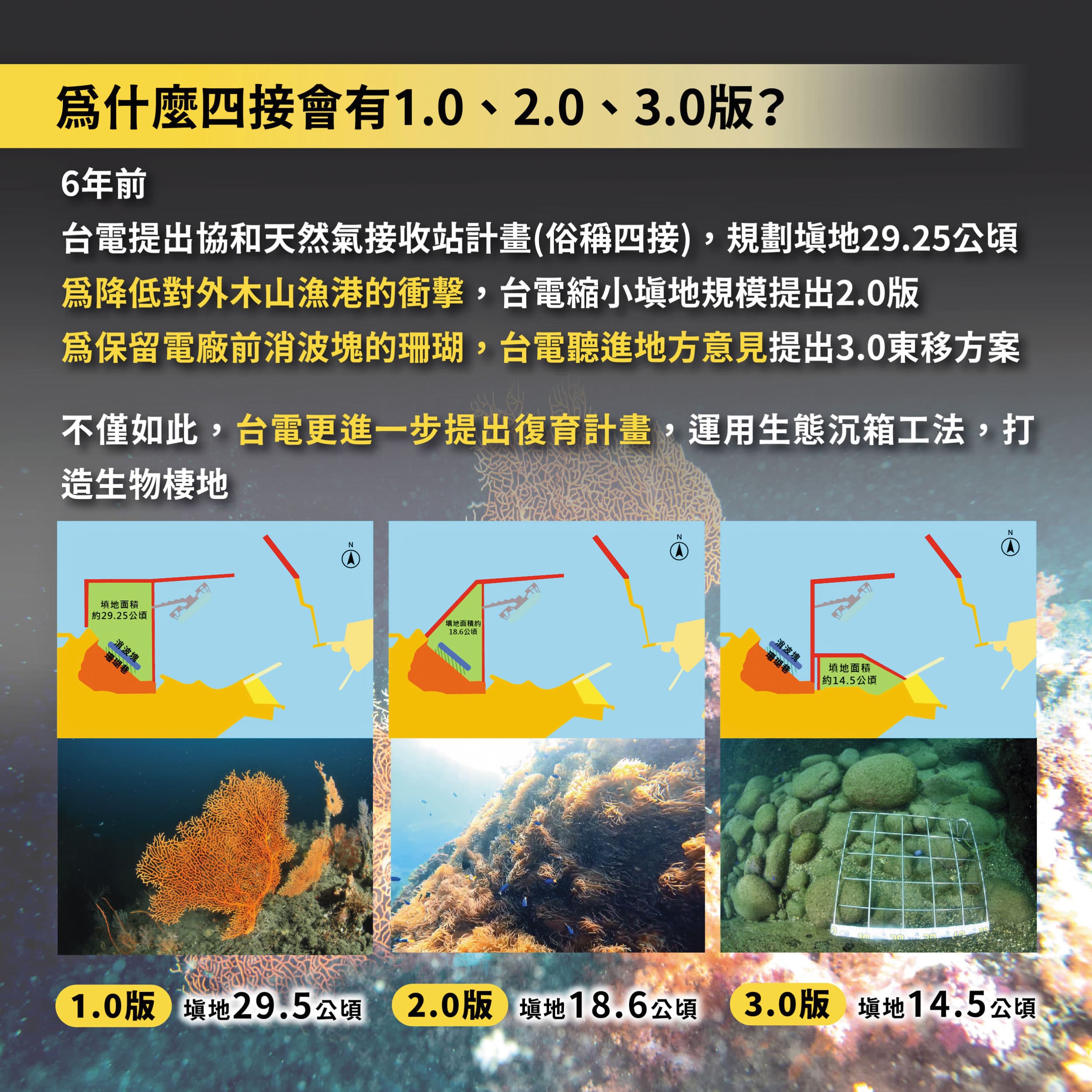 位於基隆的台電四接，為避免影響生態，採用沉箱生態工法興建。（台電提供）
