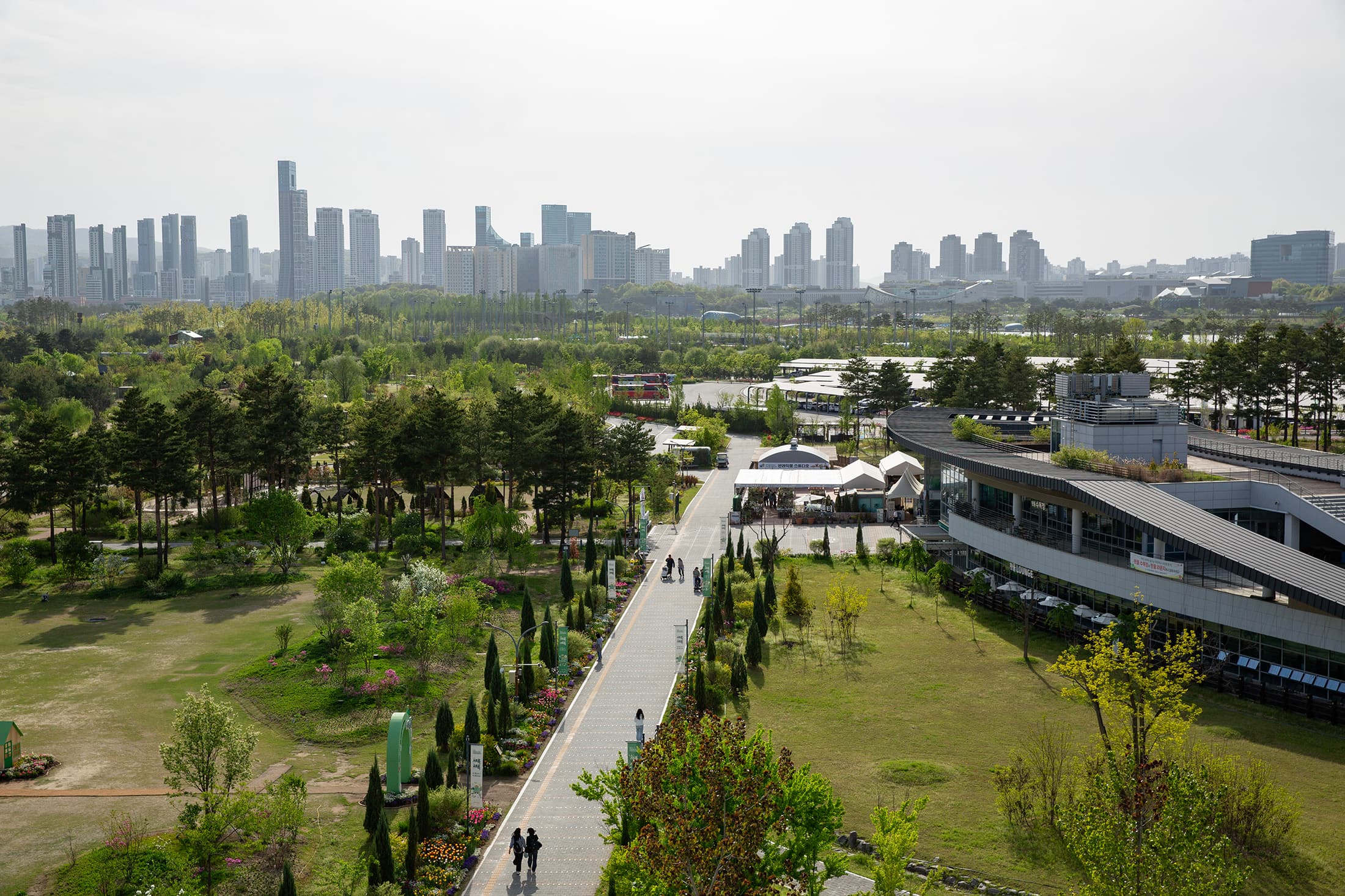 世宗湖水公園與中央公園串連成大片綠帶,是認識這座行政新都最好的起點。