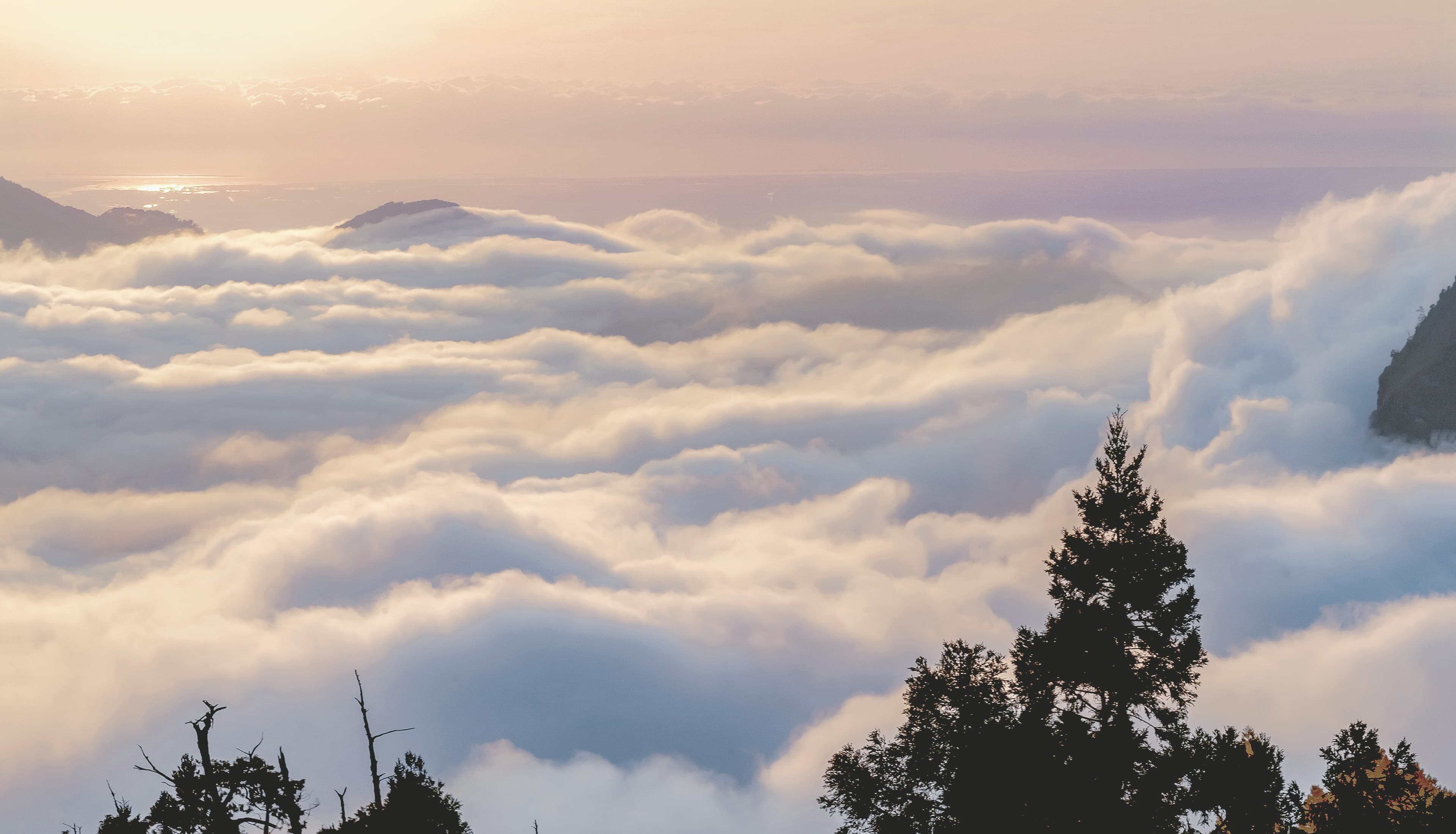 阿里山雲海深受不少旅客喜愛。(示意圖,unsplash)