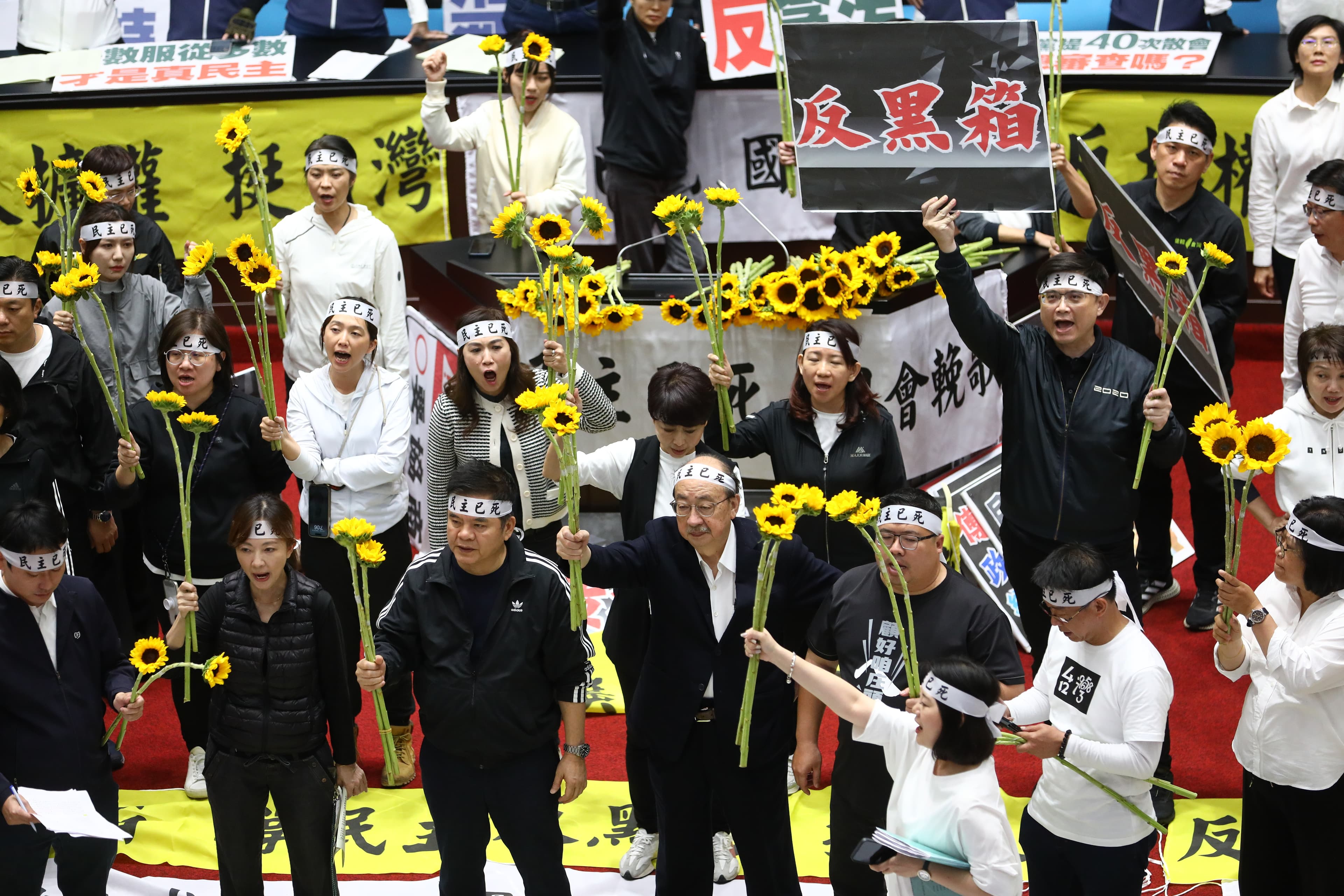 民進黨立委人手一支向日葵,象徵將太陽花學運帶進議場,並合唱該學運歌曲「島嶼天光」。