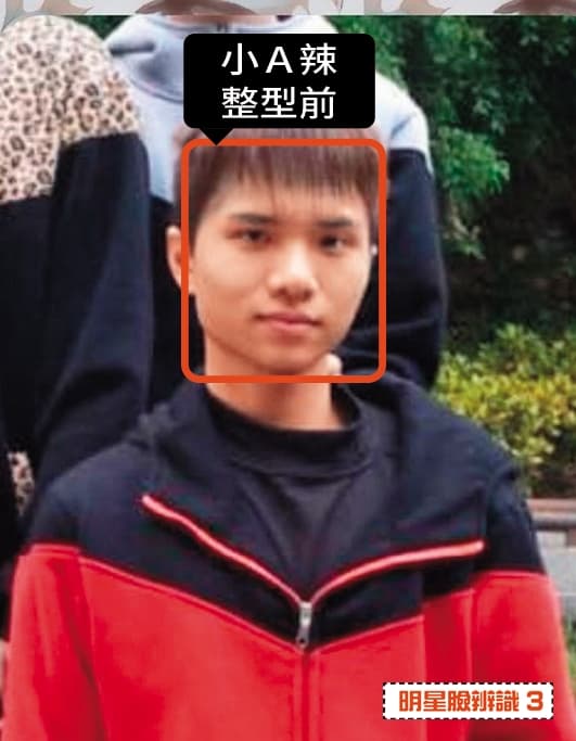 AI連小A辣20歲時的男生模樣也認得出。(跪)(翻攝自台灣臉霸名人堂)