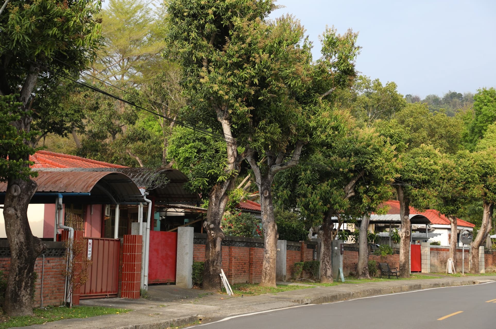 南投的「中興新村」前身為省政府駐地所在,老眷村在地方創生後長 出了新的樣貌。