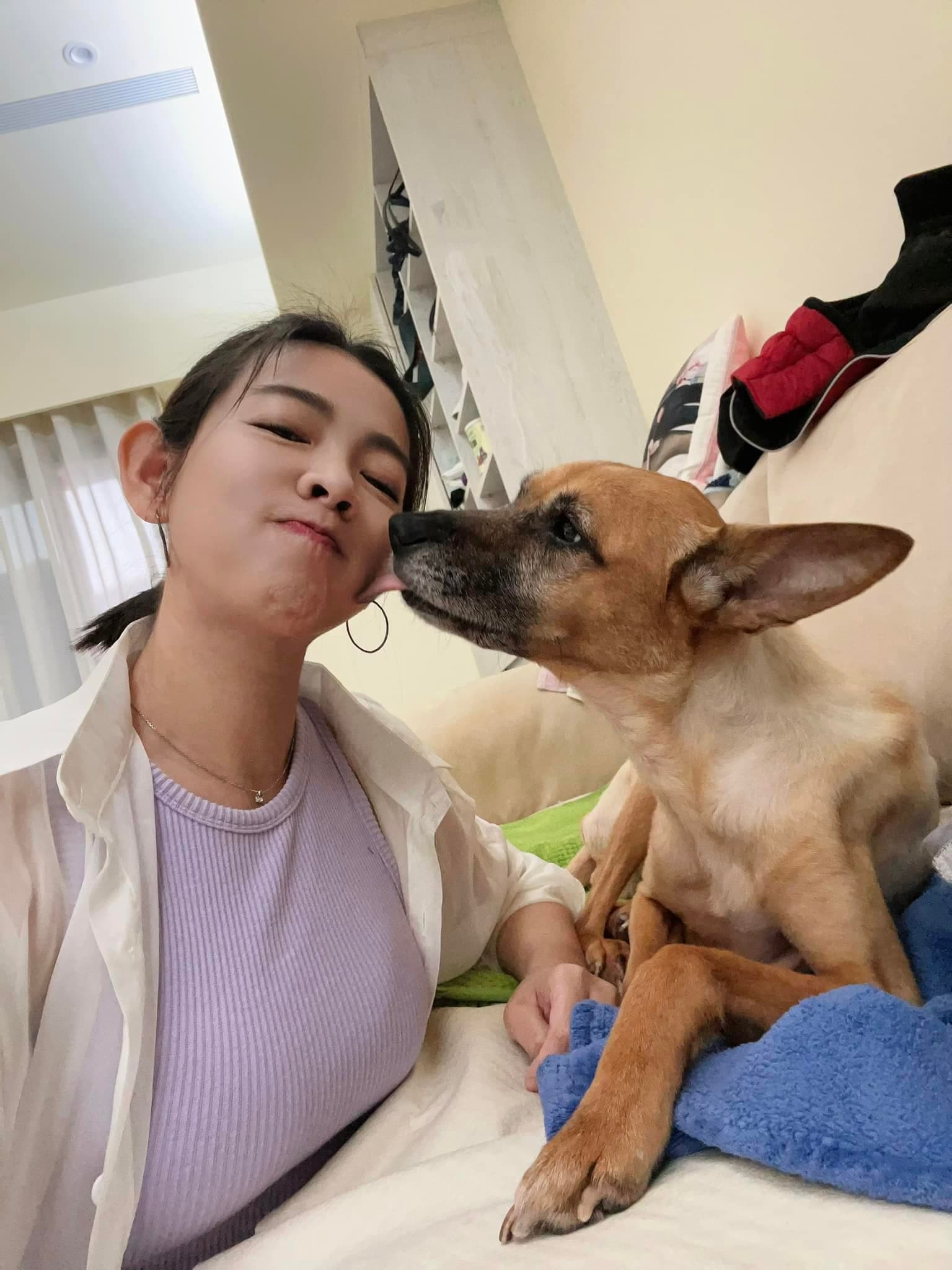 米可白近期照顧罹患胃癌的愛犬。(翻攝米可白臉書)