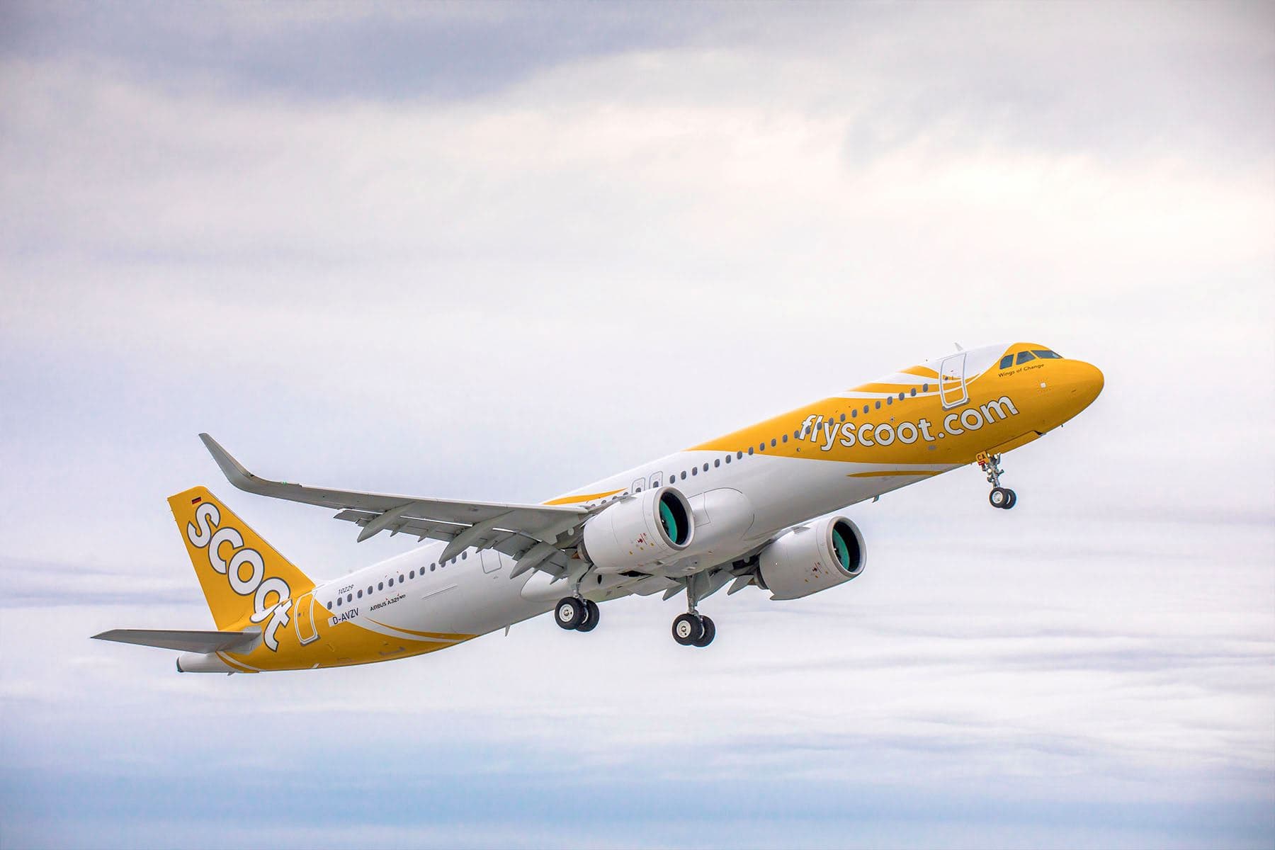 酷航則是即日起至9月16日,推出限時機票促銷活動。(翻攝臉書@FlyScoot)