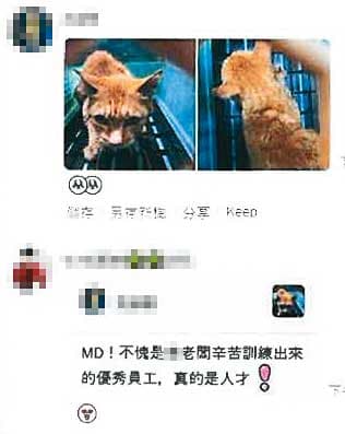 陳姓動保員遭控在動保處群組內,用嘲諷羞辱的言語霸凌舊廠商員工。(讀者提供)