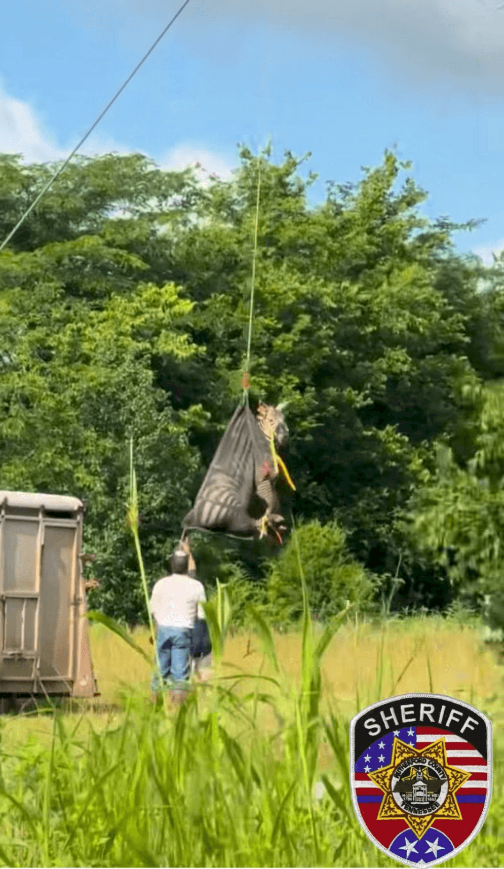 警方動用直升機,最終將Ed平安送至動物運輸車輛,返還給飼主。(翻攝Rutherford County Sheriff's Office臉書)