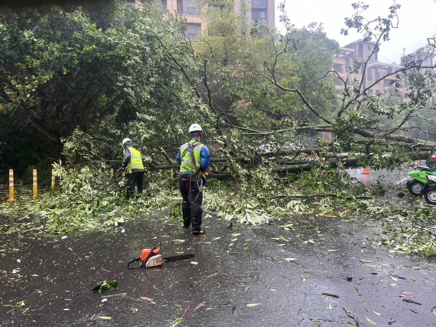 清潔隊清晨起就開始清理路面倒塌的路樹與掉落的招牌。(北市府提供)