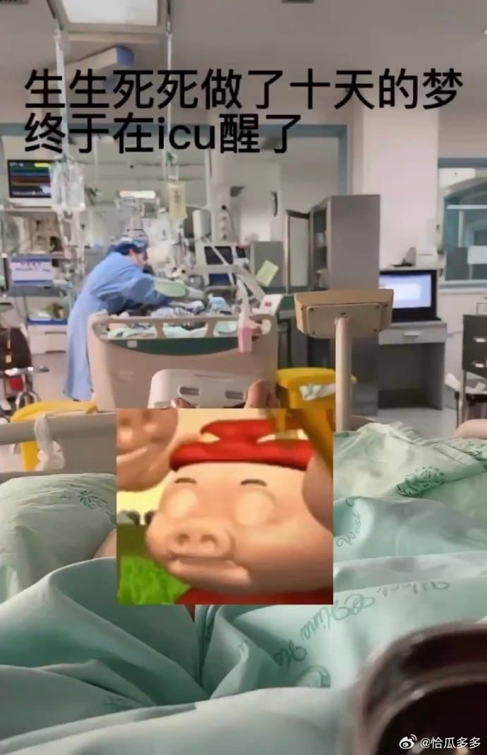 正妹表示自己終於從鬼門關走回來。(翻自微博)