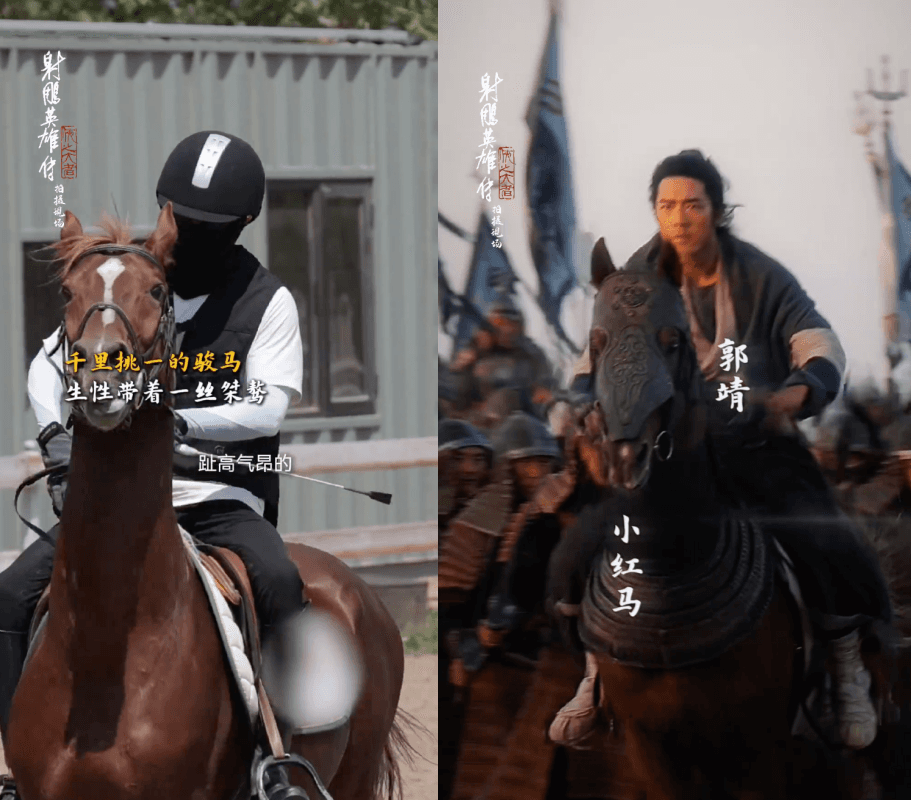 電影中的小紅馬是徐克導演從上千匹馬中挑選出來,肖戰花了兩個月才馴服其傲性。(翻攝電影官方微博)