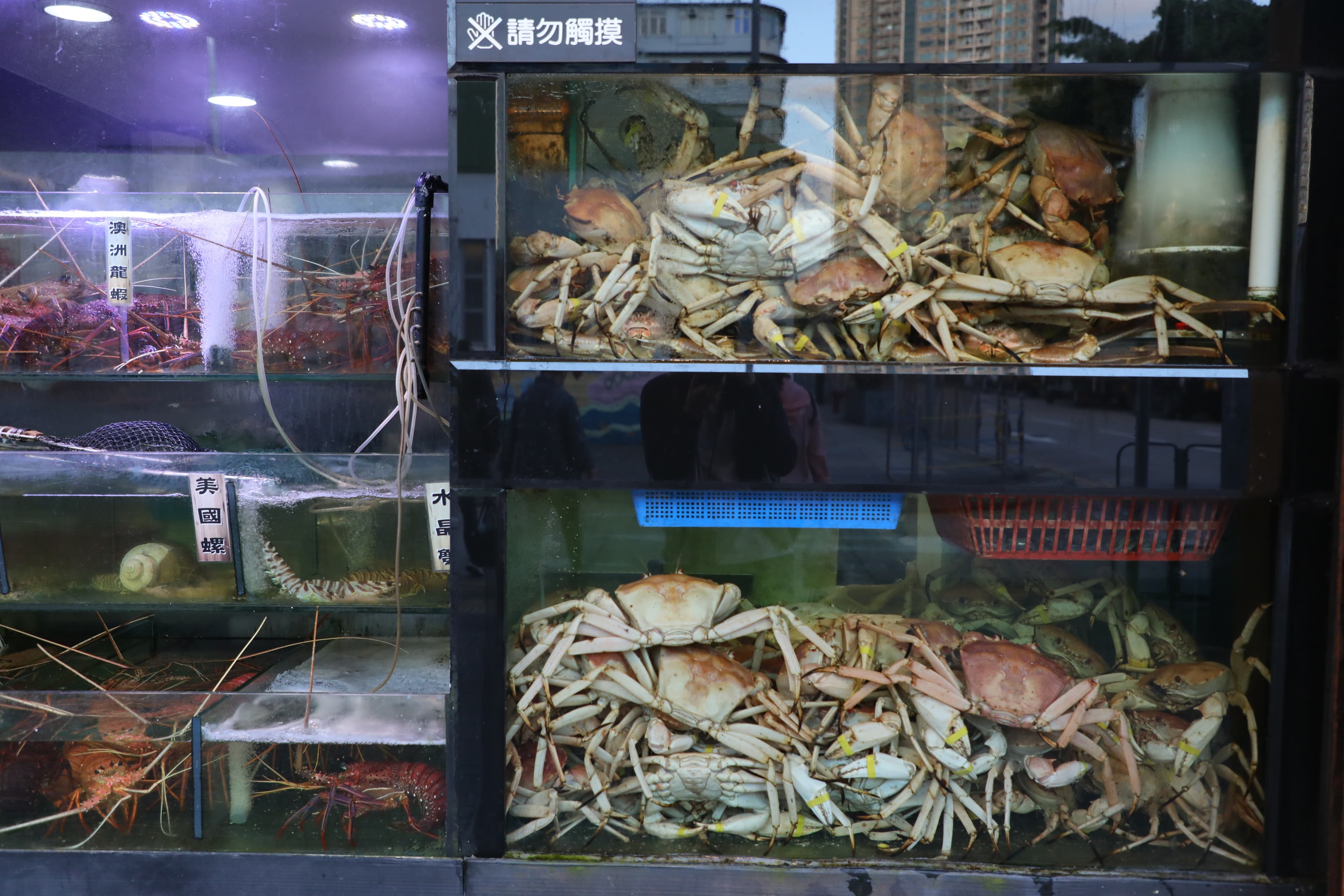 堆得滿滿的現流水晶蟹是厚福館的海鮮名物。