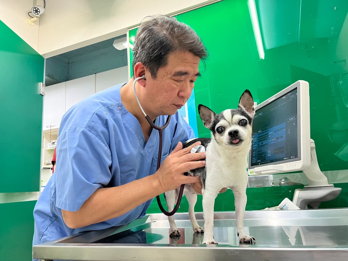 台北市獸醫師公會理事長楊孝柏表示：「選擇適合寵物的飼料，不僅關乎牠們的健康，更關乎牠們的生活質量。一定要360度全方位管理，飲食醫療雙管齊下，寵物才可能健康」。（法國皇家提供）