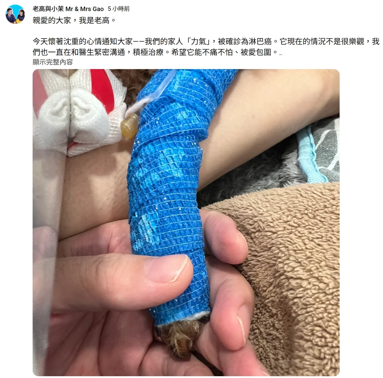 老高透露因家中毛小孩被診斷為淋巴癌,「現在的情況不是很樂觀」,希望能把全部時間與心力都放在陪伴與照顧上。(翻攝YT頻道/老高與小茉 Mr & Mrs Gao)