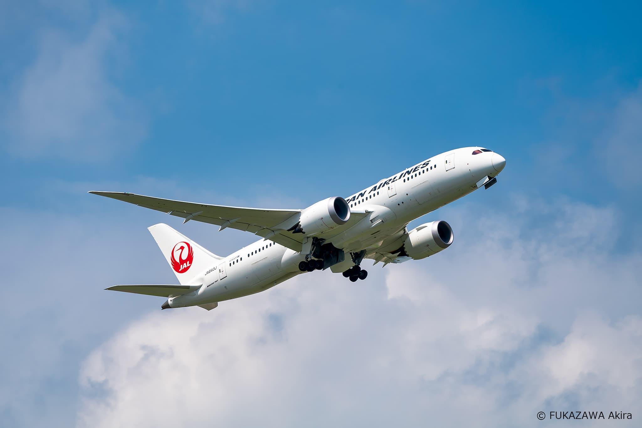 日本航空「解放雙腳」新制上路。(翻攝日本航空(JAL)臉書)