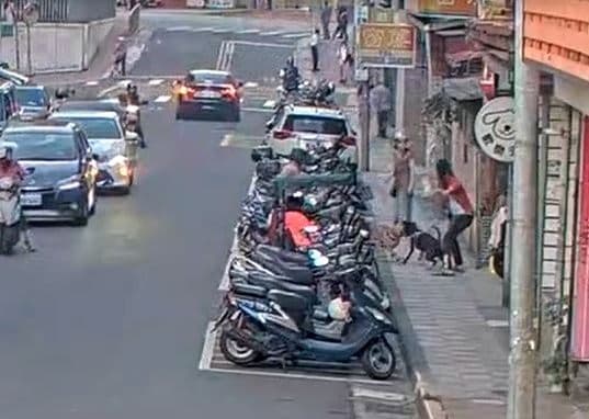 犬隻力氣大,能將綁在機車把手上的牽繩扯落。(北市動保處提供)