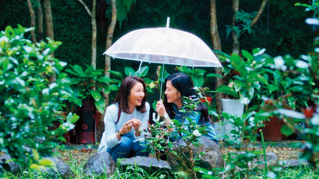 睽違12年復出拍戲,林熙蕾(右)與好姐妹林心如(左)在劇集《此時此刻》大談蕾絲邊戀情。(Netflix提供)