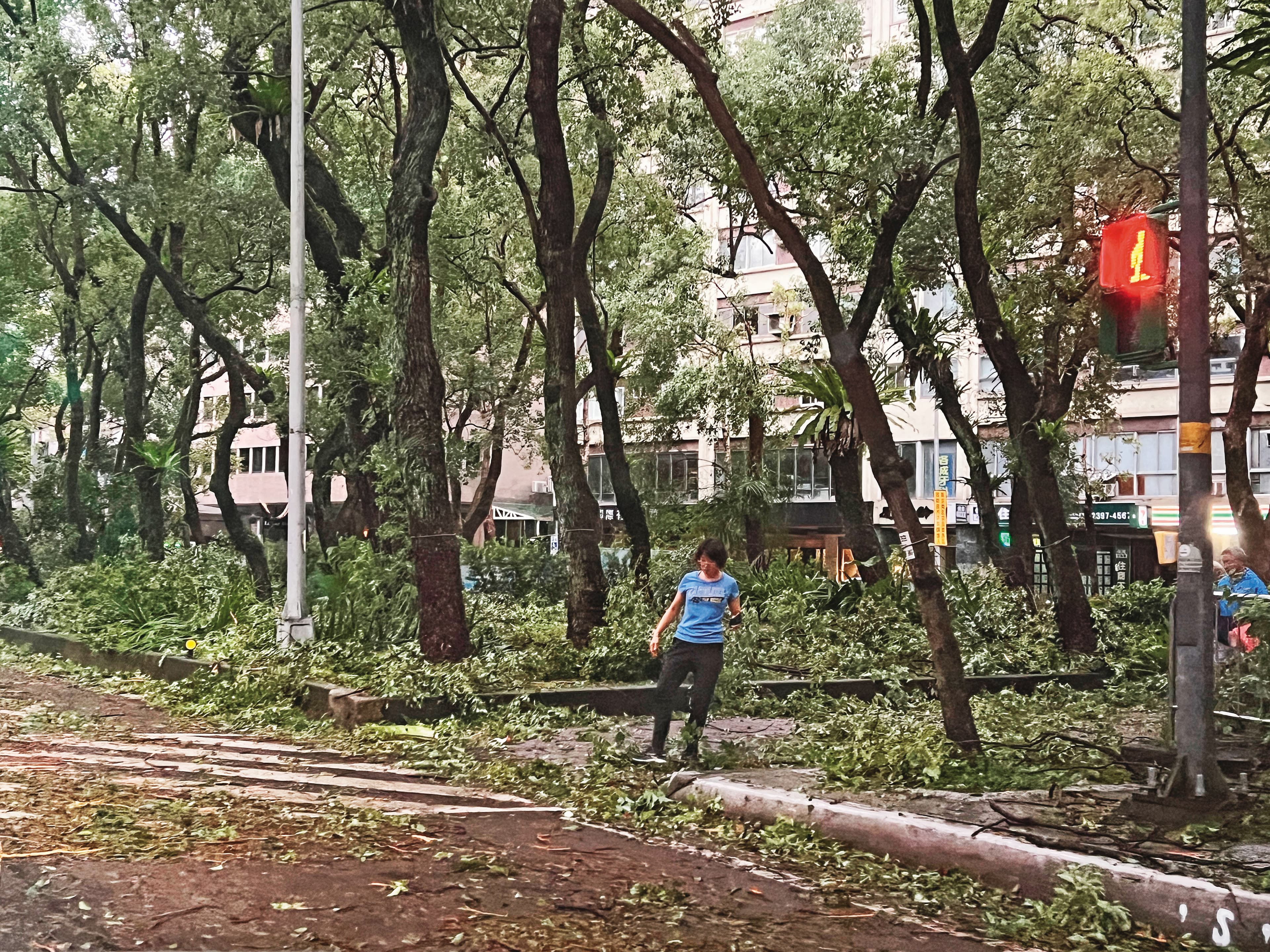 康芮颱風來襲,台北市大批路樹斷裂、傾倒,市容一時難以恢復。