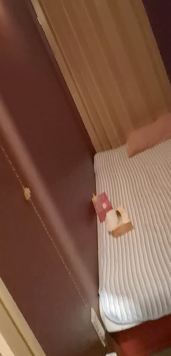 小房間內很擠,在這裡完成服務。(翻自livedoor)