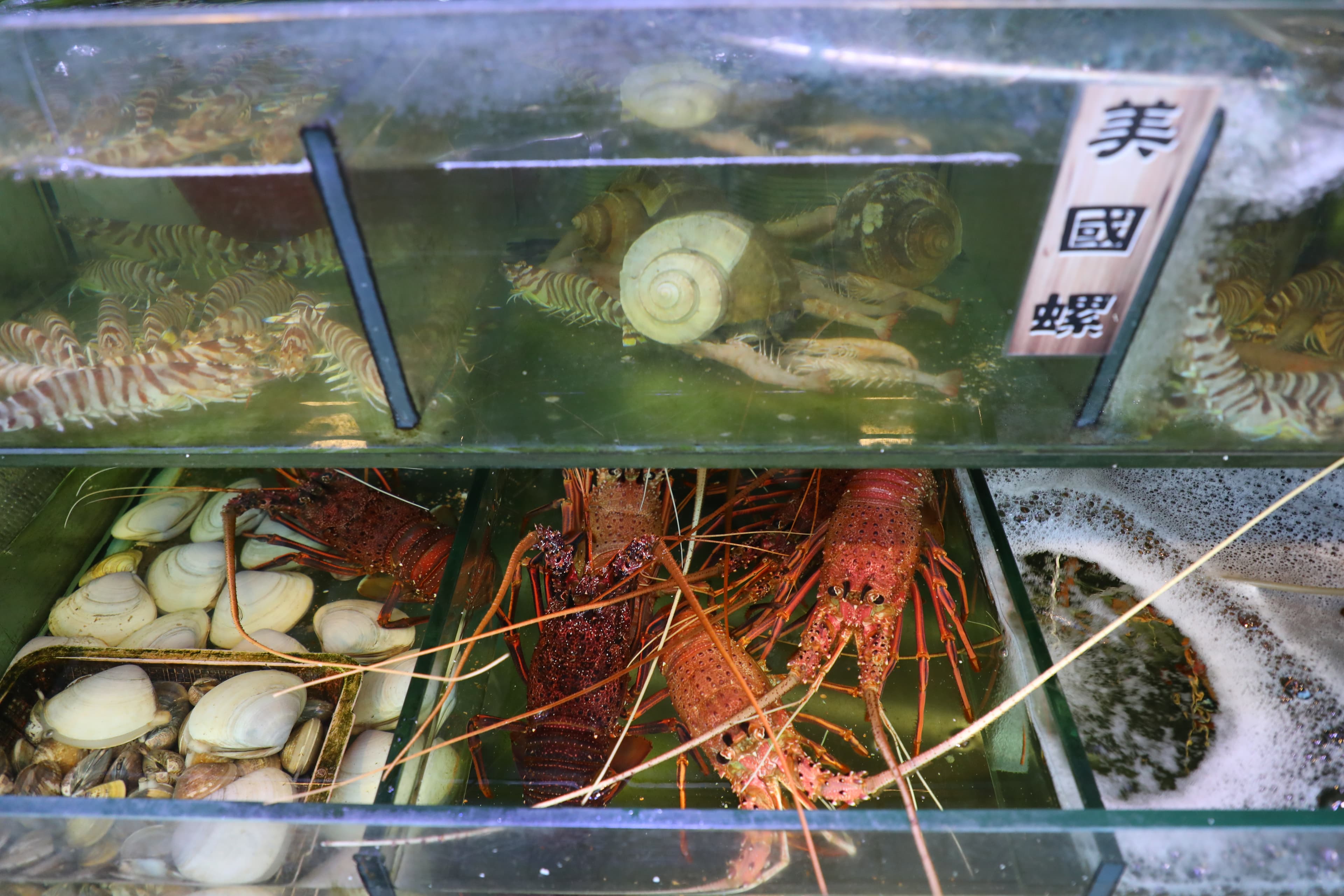 厚福館還有各種龍蝦、明蝦及螺貝類,新鮮度肉眼可見。