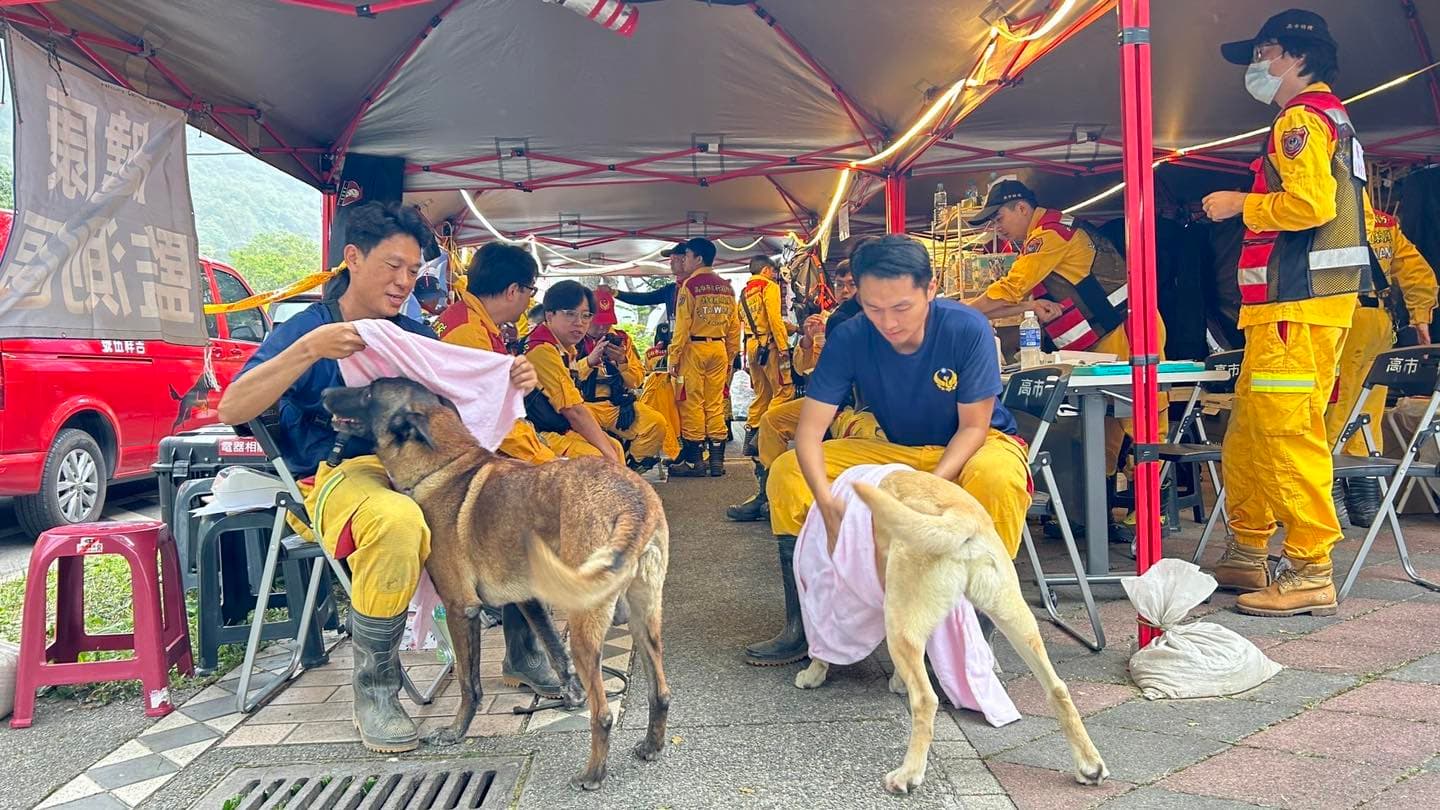 領犬員貼心地幫狗狗擦乾身體,避免感冒。(翻攝自搜救犬「羅傑計劃」臉書)