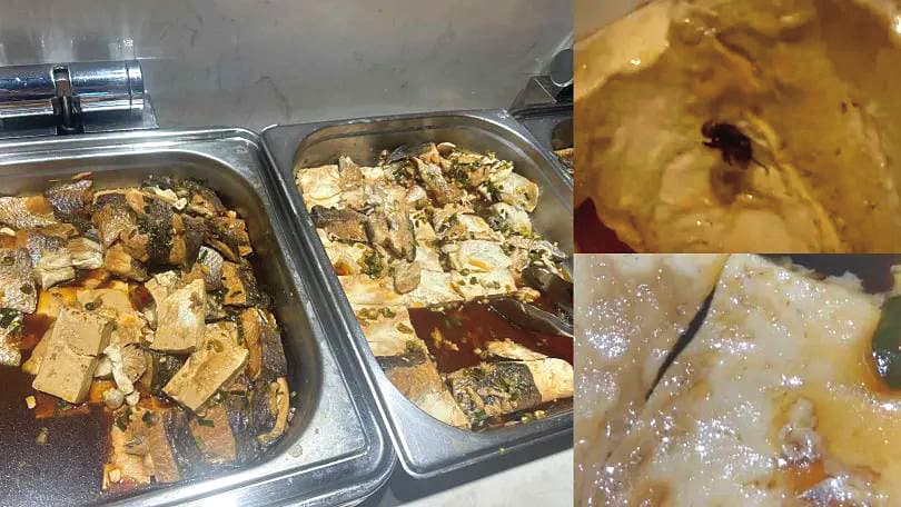 今年八月，樂天的伙食被爆出有死蒼蠅、活蛆，還鬧上媒體。（讀者提供）