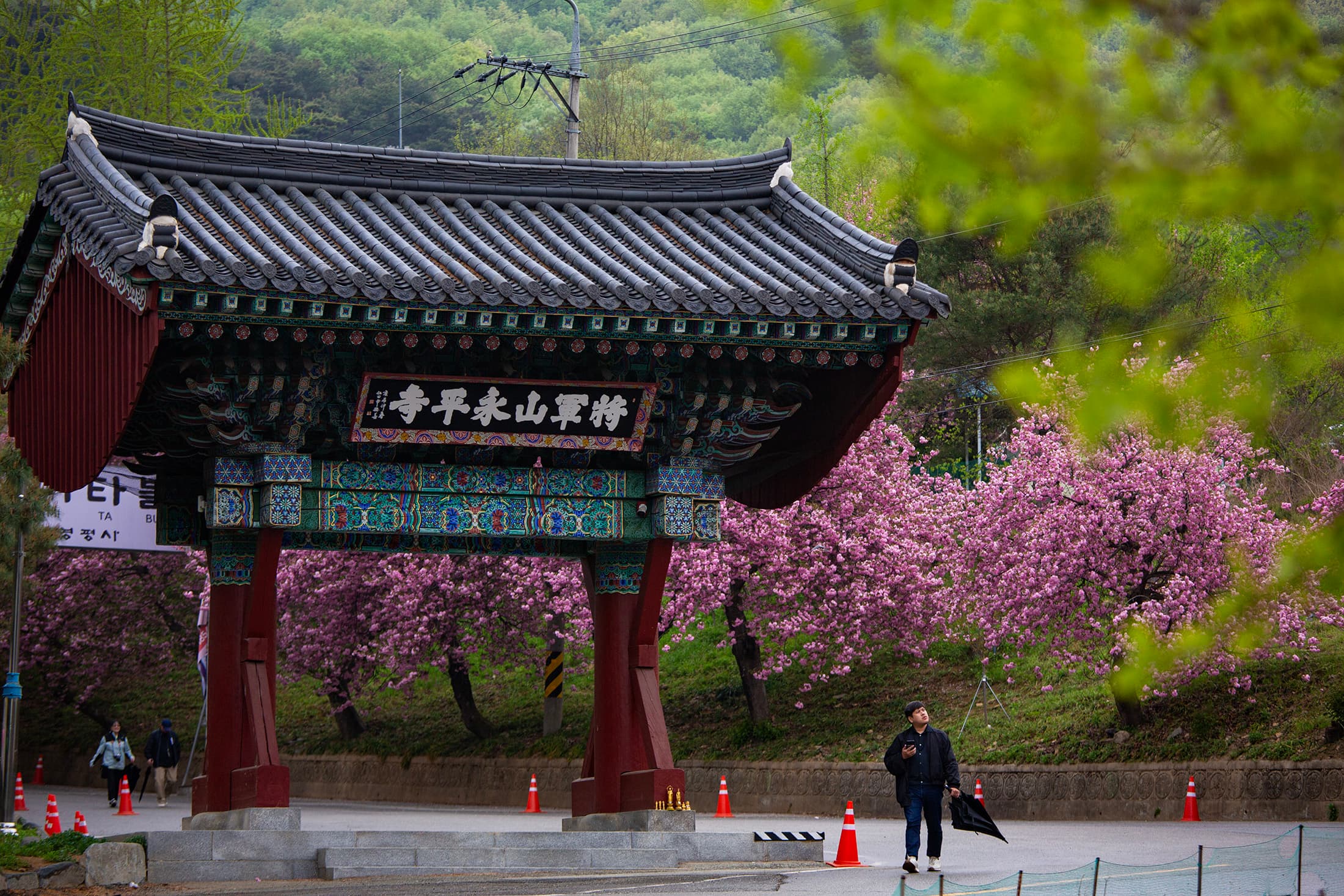 隱身將軍山下的永平寺,為現代城市保留一處難得的寧靜角落。