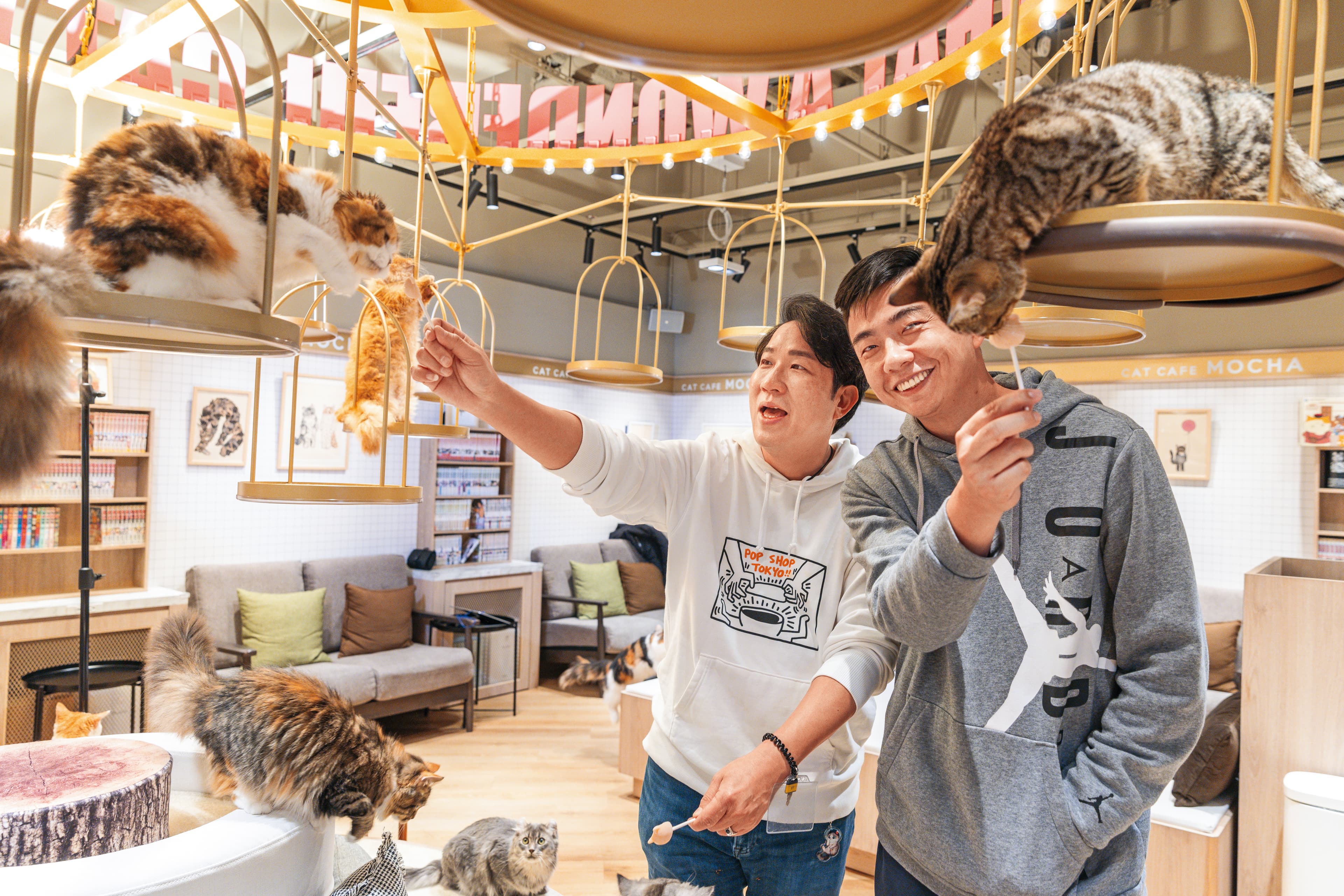 劉爾金(左)曾和熊爸(右)一起在貓咖啡,體驗被貓群熱情包圍的fu。