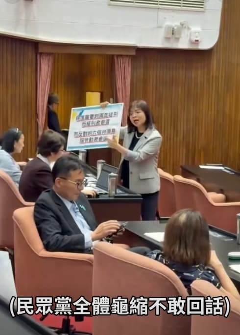 林淑芬怒嗆民眾黨立委,高虹安的恩師洪毓祥笑笑滑手機。(翻攝自民進黨立法院黨團)