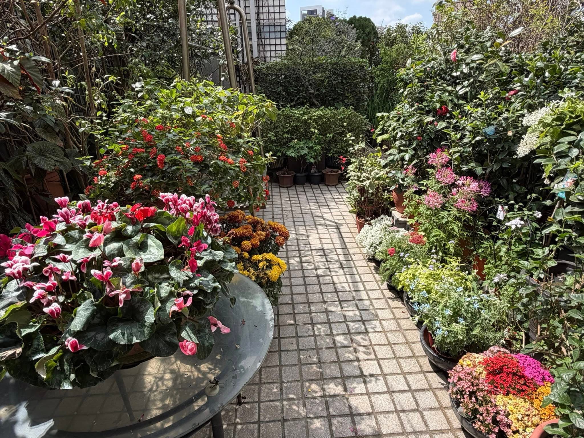 從驚蟄開始,氣溫開始快速回升,裴社長表示此時土壤開始解凍,需要鬆土施肥整理。(裴偉提供)