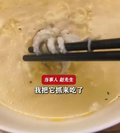 男子從窗戶上撿到小章魚,竟下鍋煮成海鮮麵。(翻攝自微博)