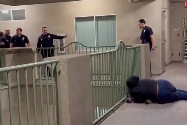 目睹愛犬在眼前倒下,飼主瑪莉歇斯底里地抱著遺體痛哭。(翻攝自X)