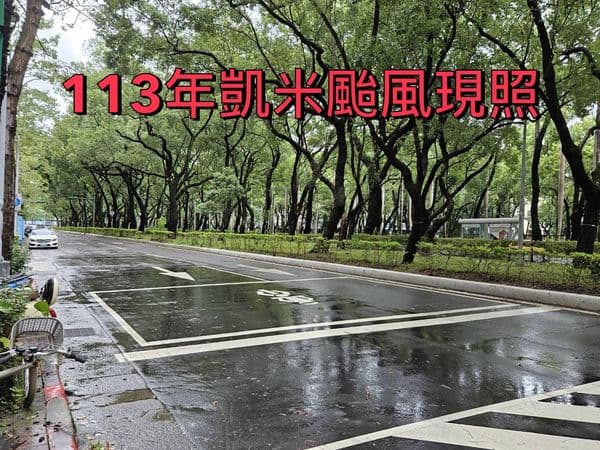 北市府po出今日照片澄清,仁愛路沒有樹木傾倒蓋滿地面狀況。(公園處提供)