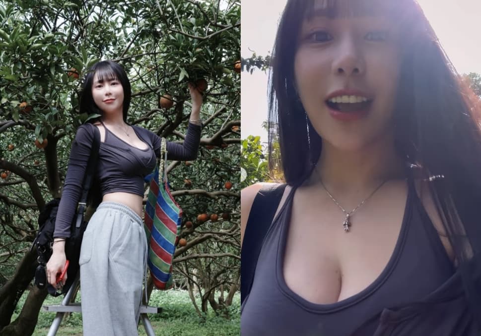 梓梓穿低胸深V上衣體驗採果樂,深邃乳溝成網友注目焦點。(翻攝IG@t40533)