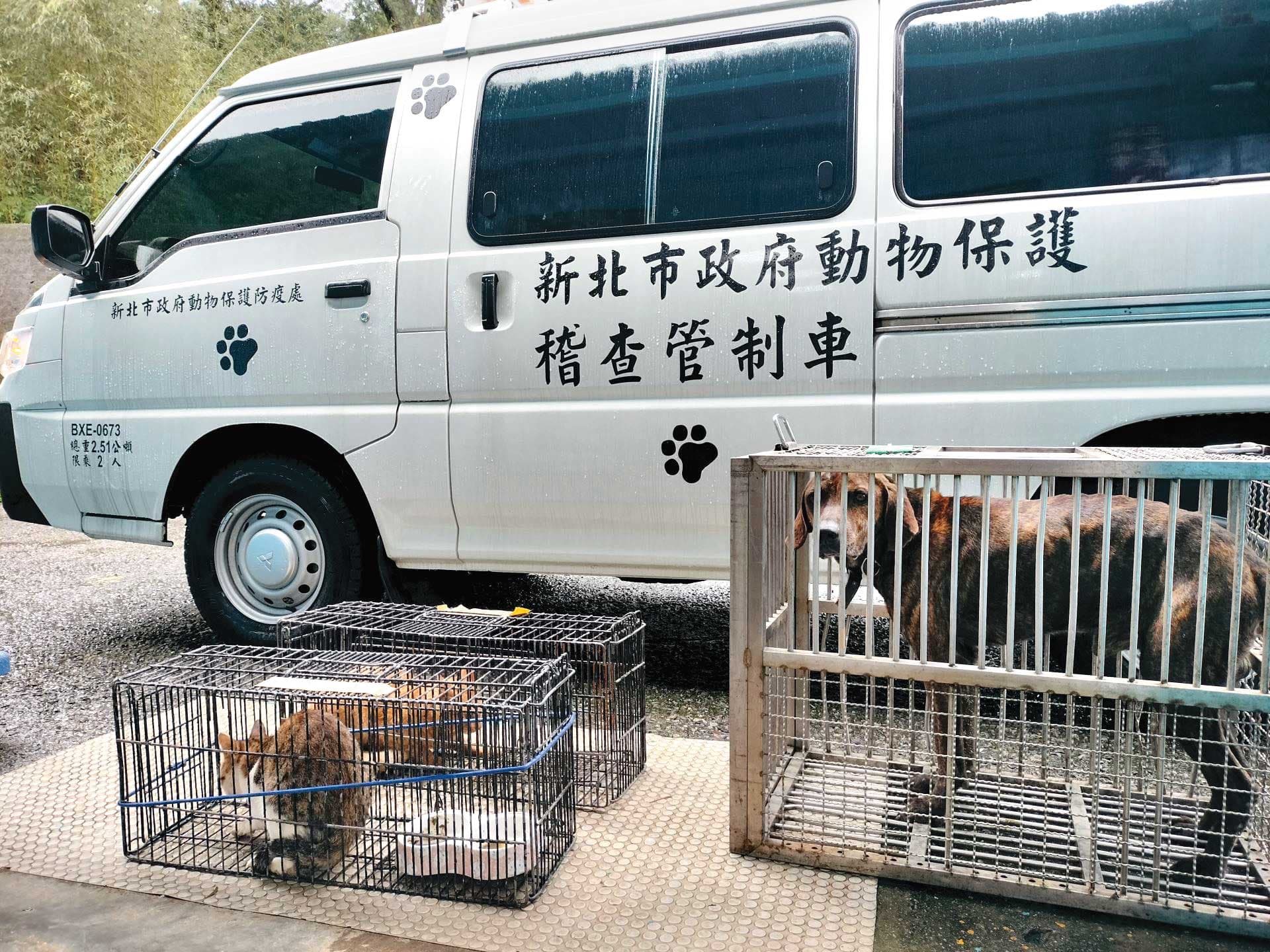 新北市動保處廠商曾因公務車問題,與市府人員發生口角。(示意圖,翻攝新北市動保處官網)