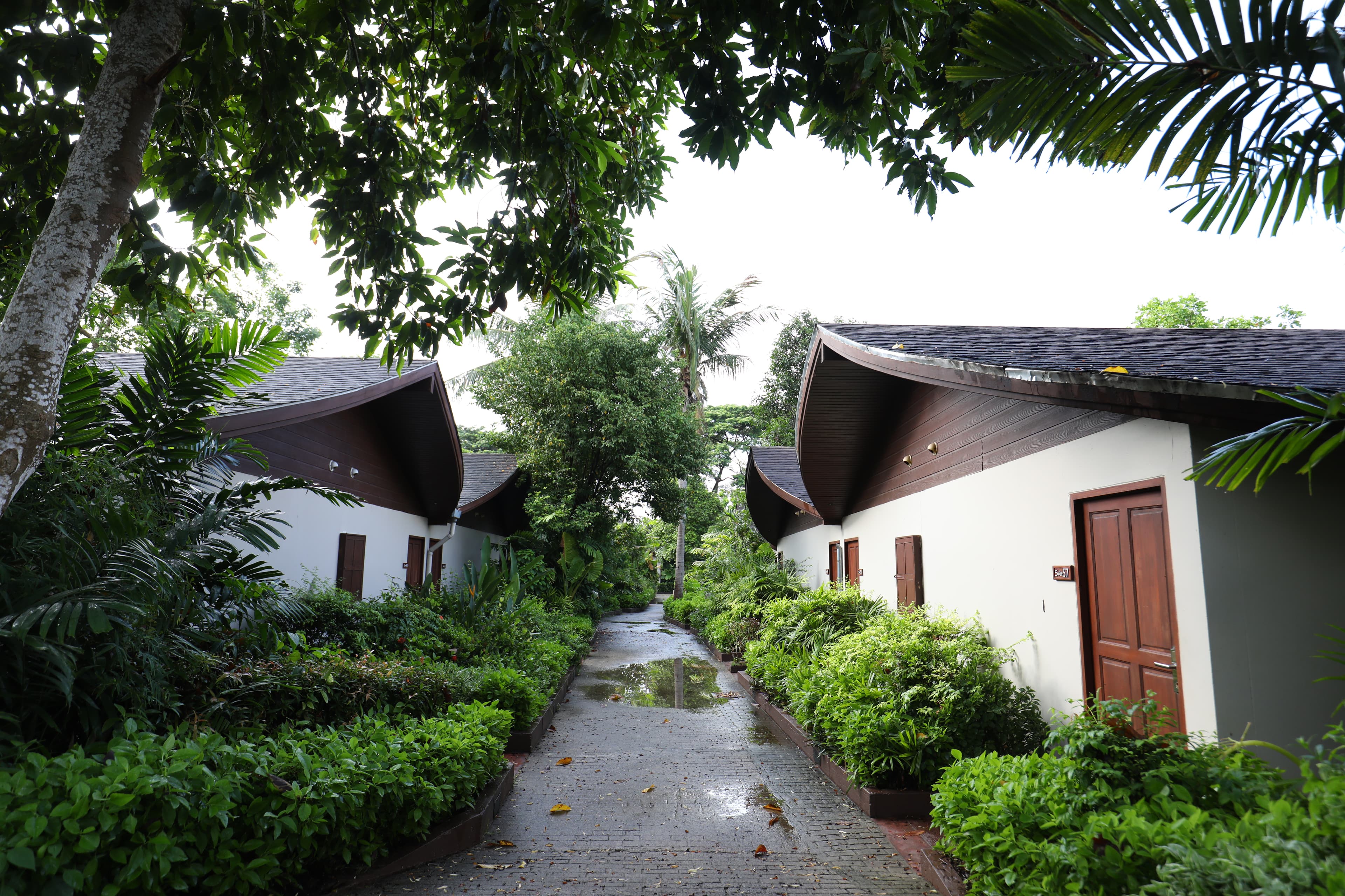 Barceló Coconut Island共有258間套房與Villa,每戶各自獨立。