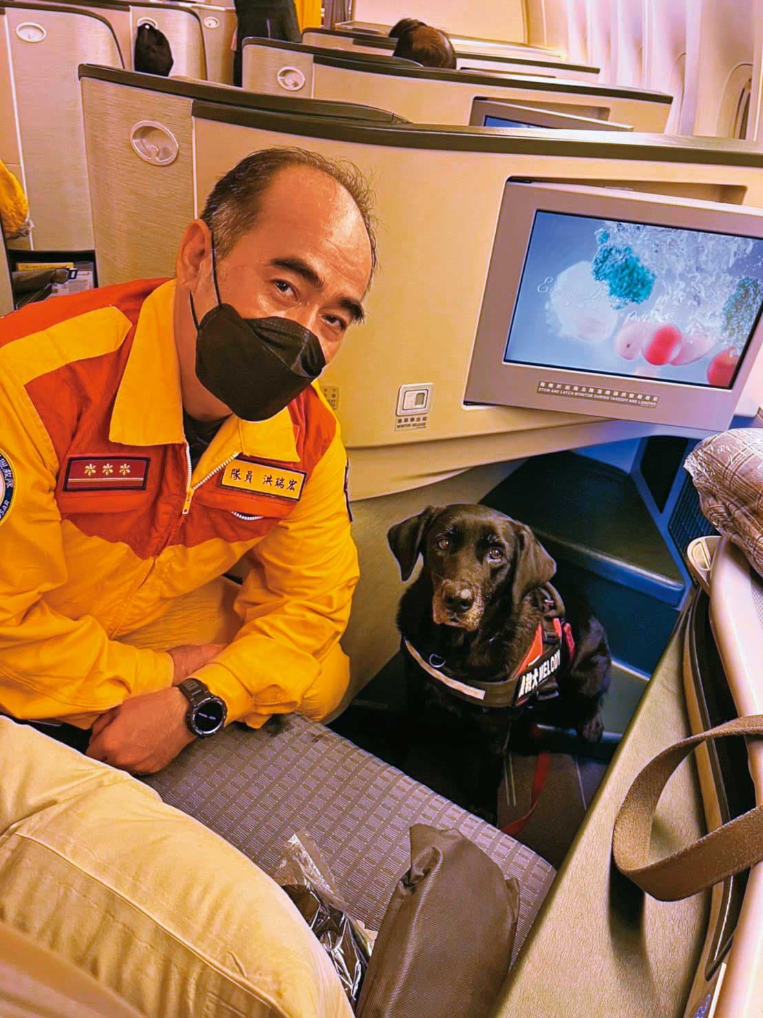 台灣執行國際救援專案包機模式後,搜救犬可與領犬員一同乘坐商務艙前往災區救援。(消防署提供)